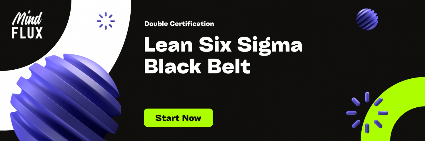 Lean Six Sigma Black Belt